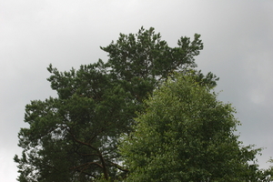 img_0871.jpg