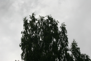 img_0872.jpg