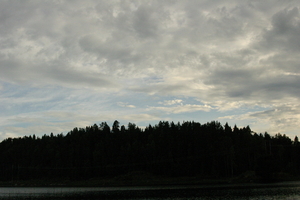 img_0886.jpg