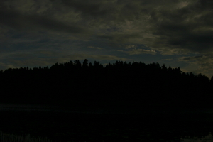 img_0890.jpg
