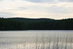 img_0898.jpg