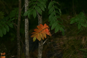 img_0901.jpg