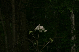 img_0902.jpg