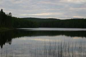 img_0920.jpg