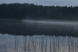 img_1135.jpg