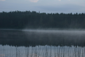 img_1136.jpg