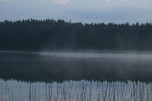 img_1137.jpg