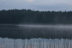 img_1138.jpg