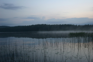 img_1139.jpg