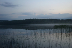 img_1140.jpg