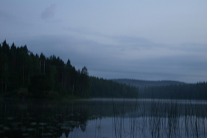 img_1150.jpg