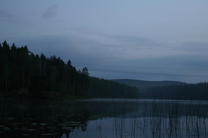 img_1151.jpg