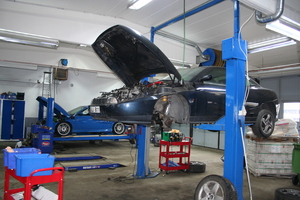 img_1251.jpg