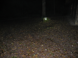img_1404.jpg