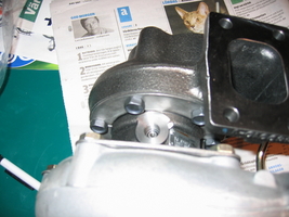 img_1549.jpg