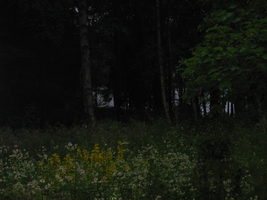 img_1651.jpg
