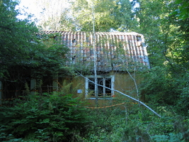 img_2030.jpg