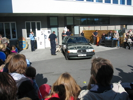 img_2085.jpg