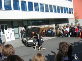 img_2086.jpg