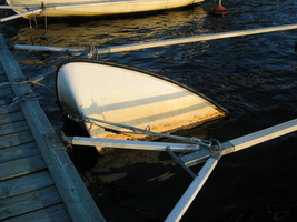 img_2110.jpg