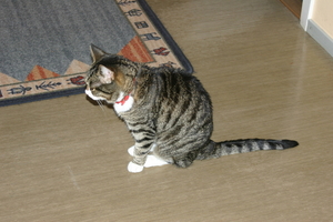 img_2164.jpg
