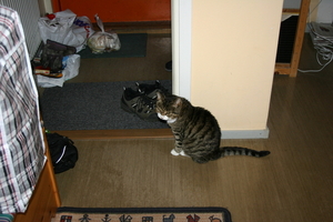 img_2172.jpg