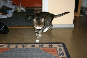 img_2173.jpg