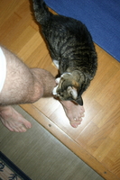 img_2174.jpg