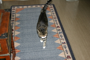img_2175.jpg