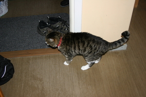 img_2176.jpg
