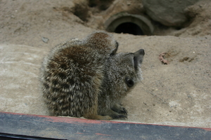 img_2186.jpg