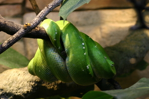 img_2200.jpg