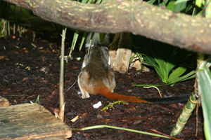 img_2222.jpg