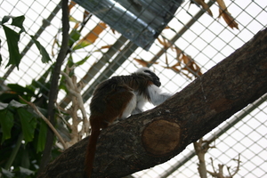 img_2223.jpg