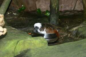 img_2227.jpg