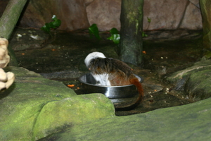 img_2228.jpg