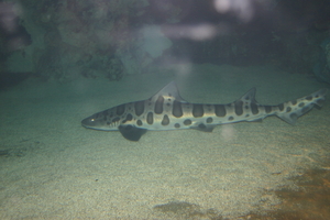 img_2235.jpg