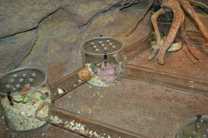 img_2243.jpg