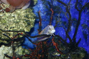 img_2249.jpg