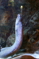 img_2253.jpg