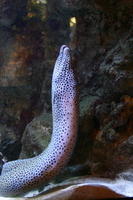 img_2254.jpg