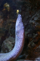 img_2255.jpg