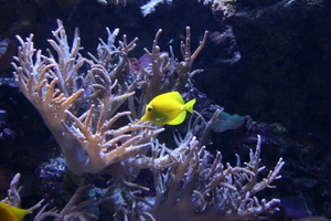 img_2256.jpg