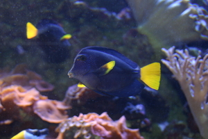 img_2260.jpg