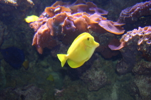 img_2262.jpg