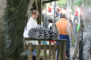 img_2272.jpg