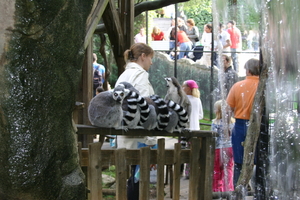 img_2273.jpg