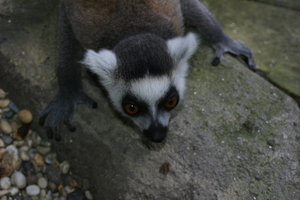 img_2276.jpg