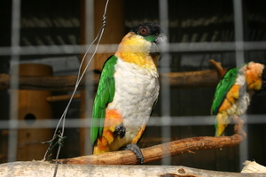 img_2293.jpg