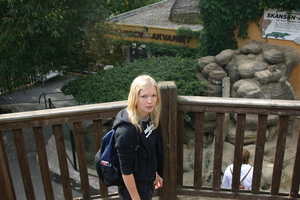 img_2294.jpg